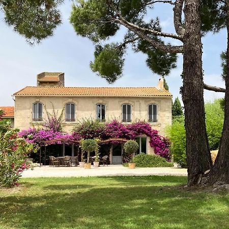 Maison Tara Verte Au Mas Montredon 阿爾勒 外观 照片