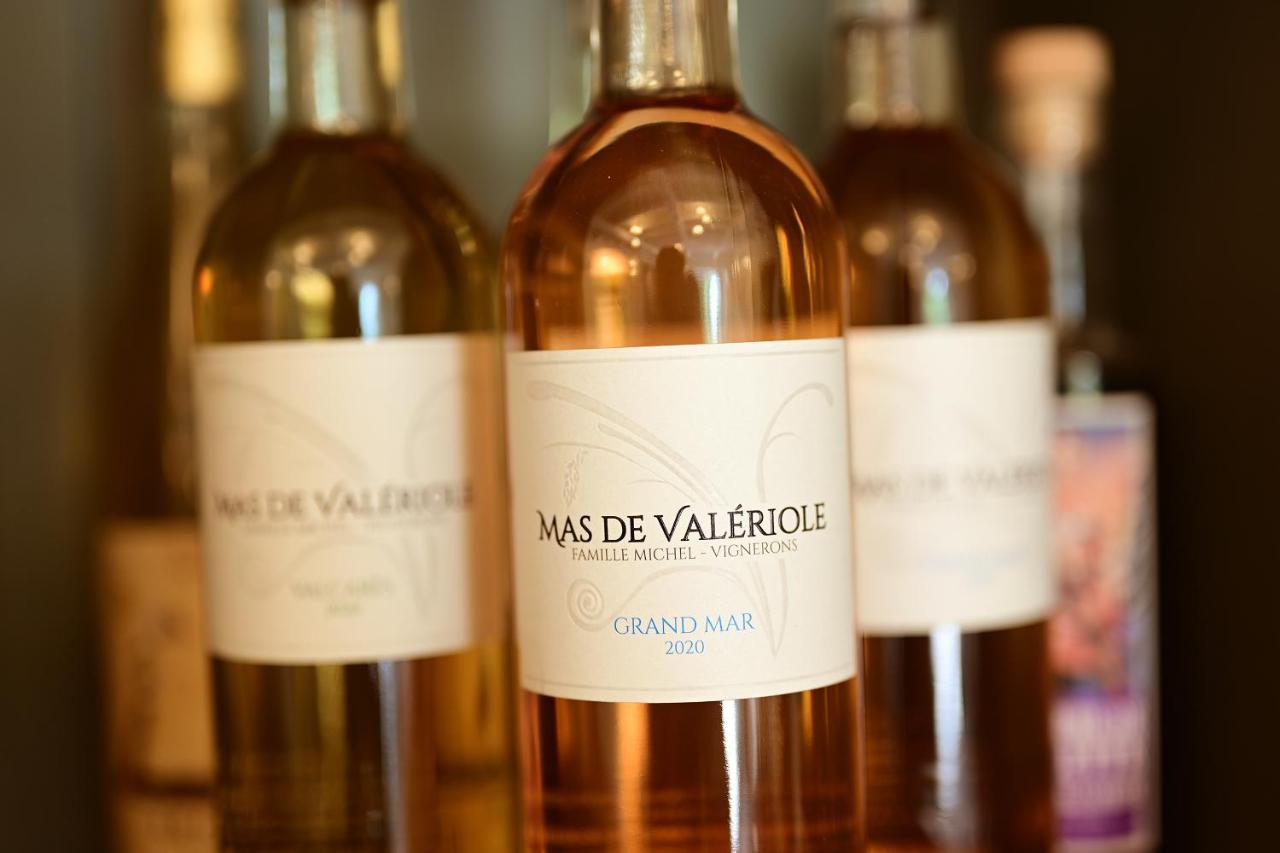 Maison Tara Verte Au Mas Montredon 阿爾勒 外观 照片