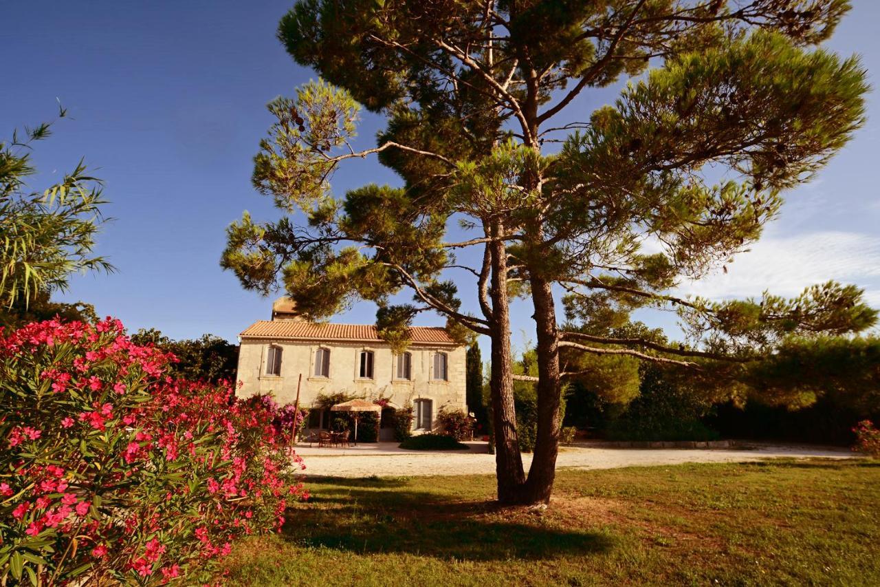 Maison Tara Verte Au Mas Montredon 阿爾勒 外观 照片