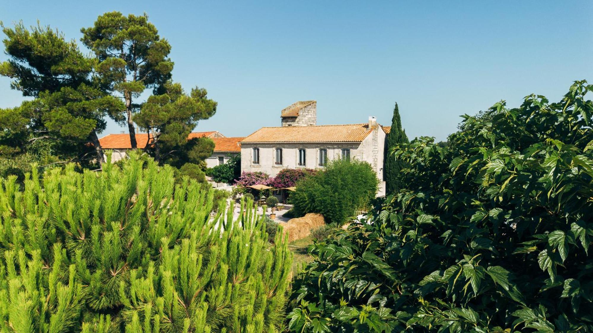 Maison Tara Verte Au Mas Montredon 阿爾勒 外观 照片