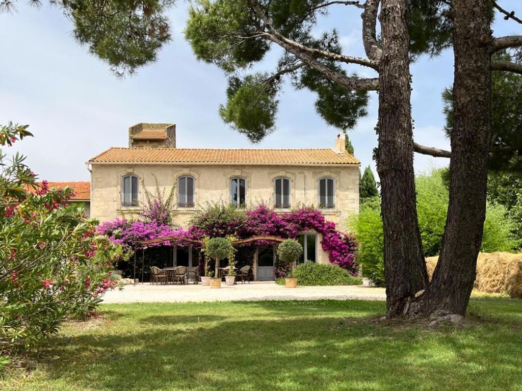 Maison Tara Verte Au Mas Montredon 阿爾勒 外观 照片